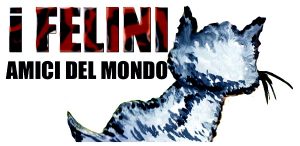 Logo Felini Foundation